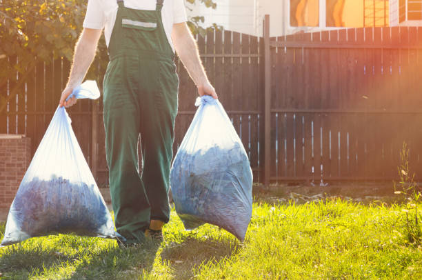 Best Yard Waste Removal  in Sault Ste Marie, MI
